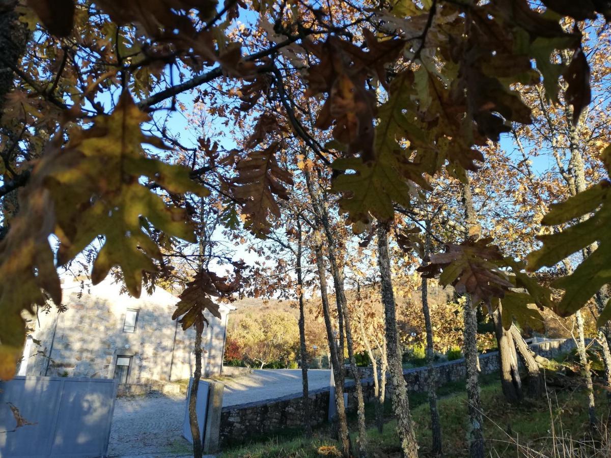 Quinta Dos Carvalhais - Serra Da Estrela ฟอร์โนส จิ อัลกูดริส ภายนอก รูปภาพ