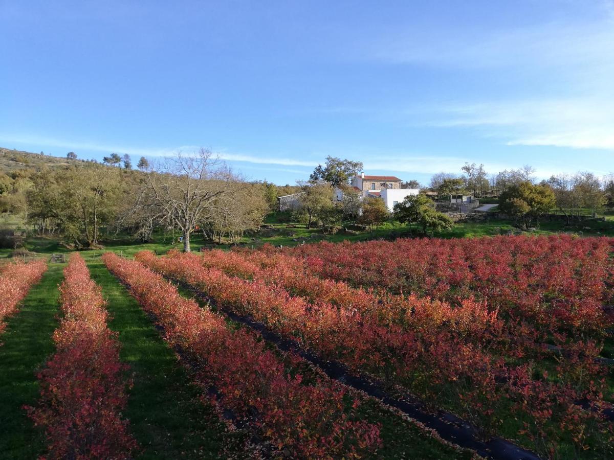 Quinta Dos Carvalhais - Serra Da Estrela ฟอร์โนส จิ อัลกูดริส ภายนอก รูปภาพ