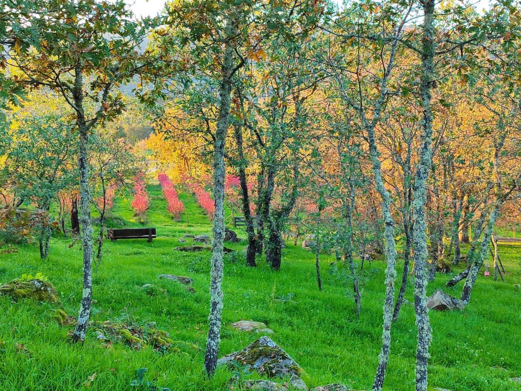 Quinta Dos Carvalhais - Serra Da Estrela ฟอร์โนส จิ อัลกูดริส ภายนอก รูปภาพ