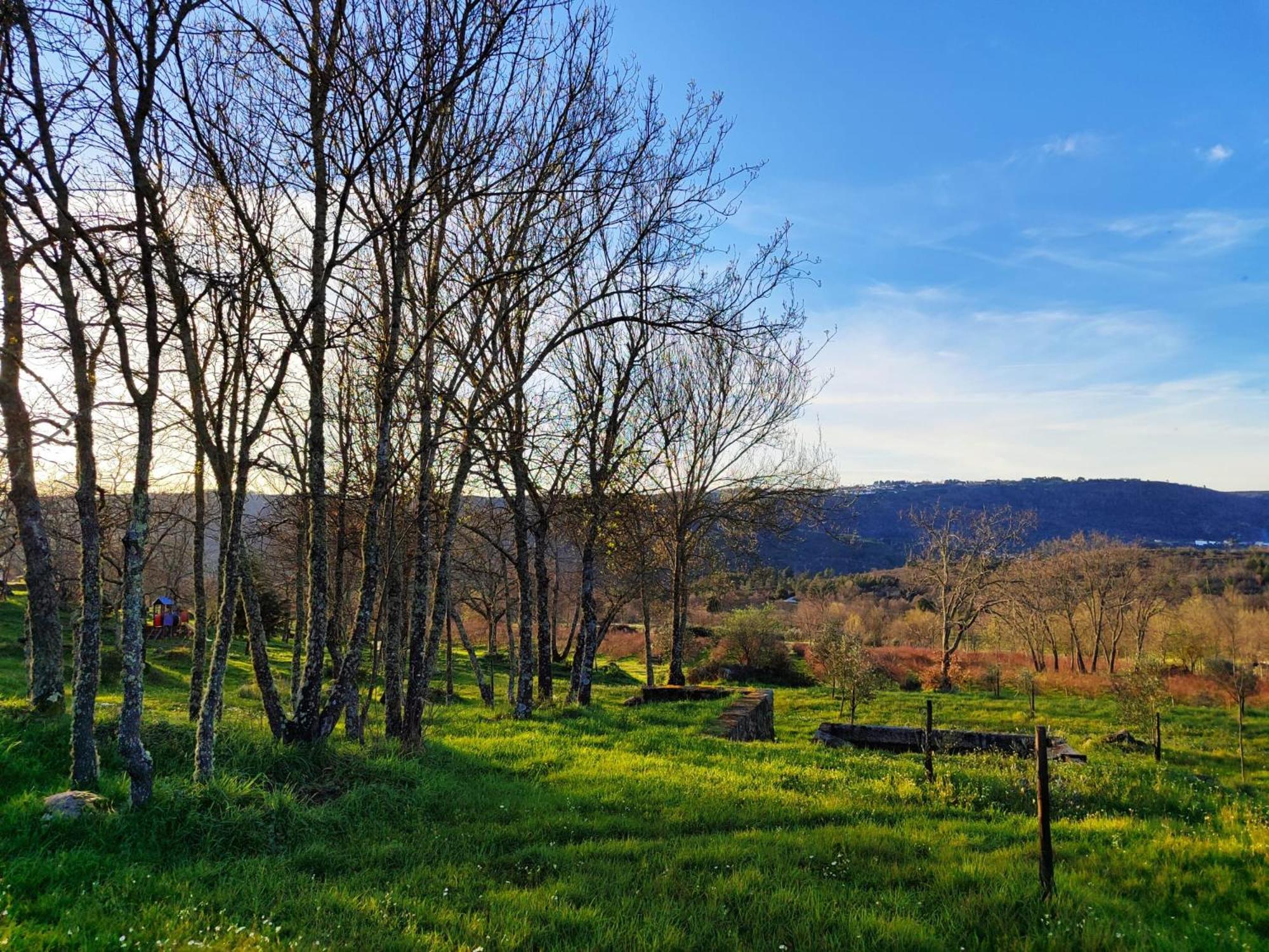 Quinta Dos Carvalhais - Serra Da Estrela ฟอร์โนส จิ อัลกูดริส ภายนอก รูปภาพ
