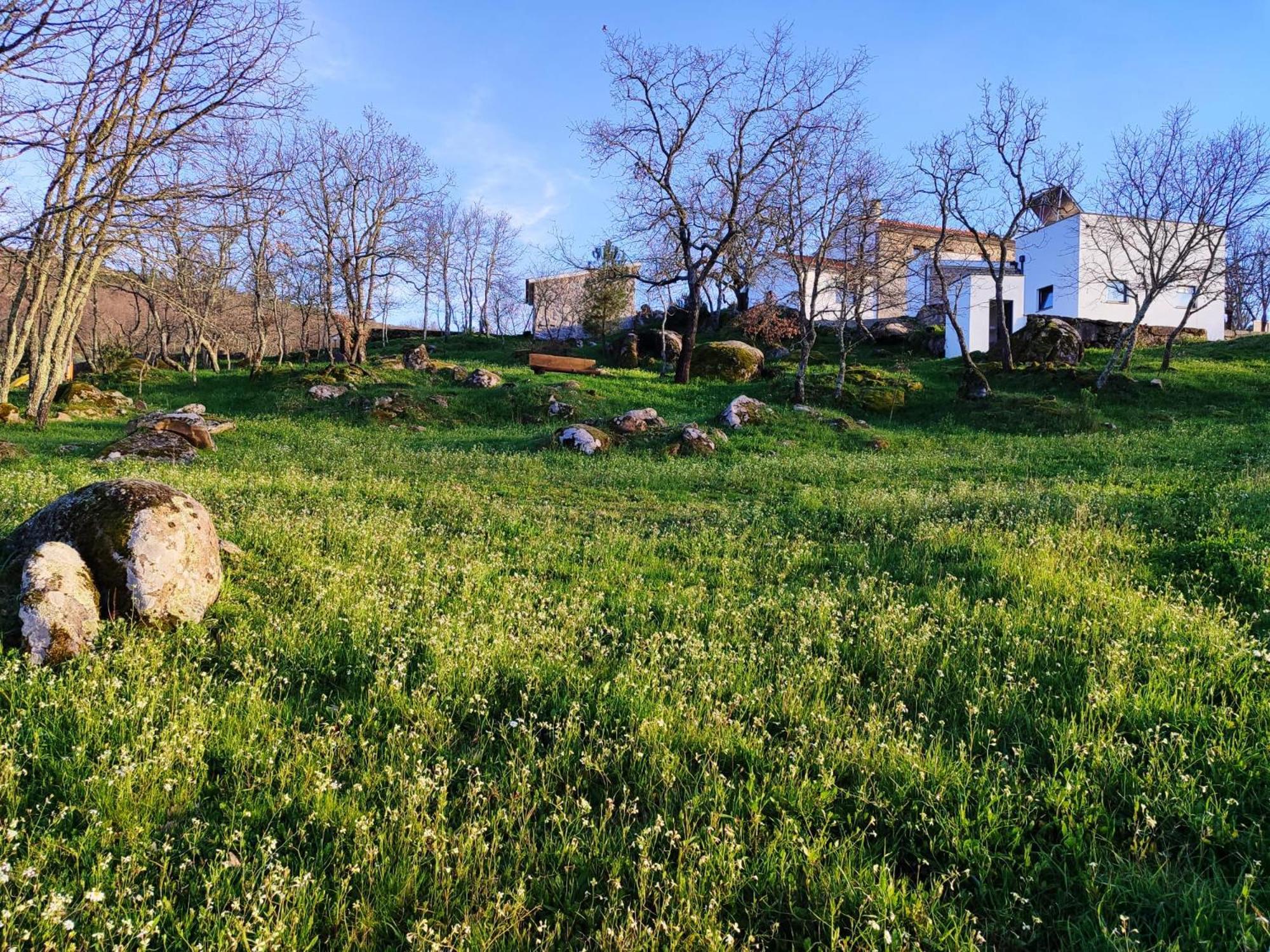 Quinta Dos Carvalhais - Serra Da Estrela ฟอร์โนส จิ อัลกูดริส ภายนอก รูปภาพ