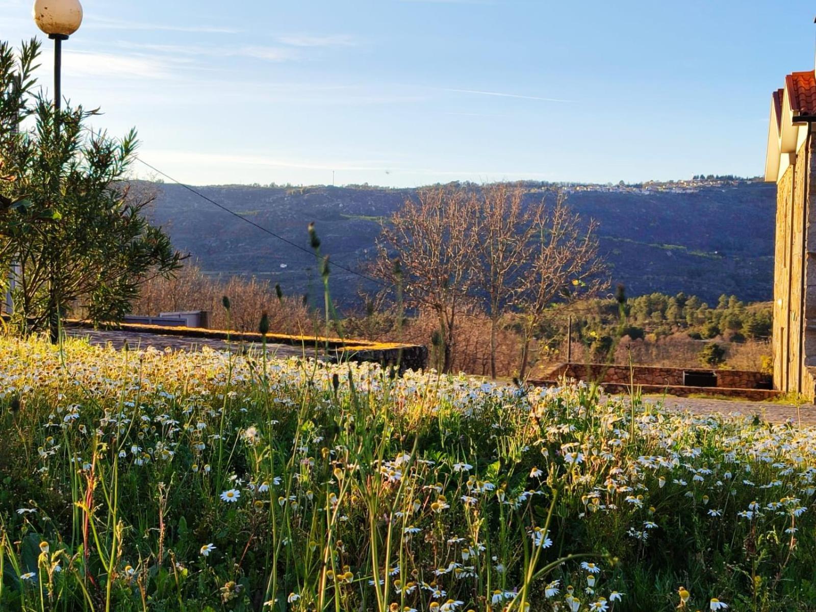 Quinta Dos Carvalhais - Serra Da Estrela ฟอร์โนส จิ อัลกูดริส ภายนอก รูปภาพ