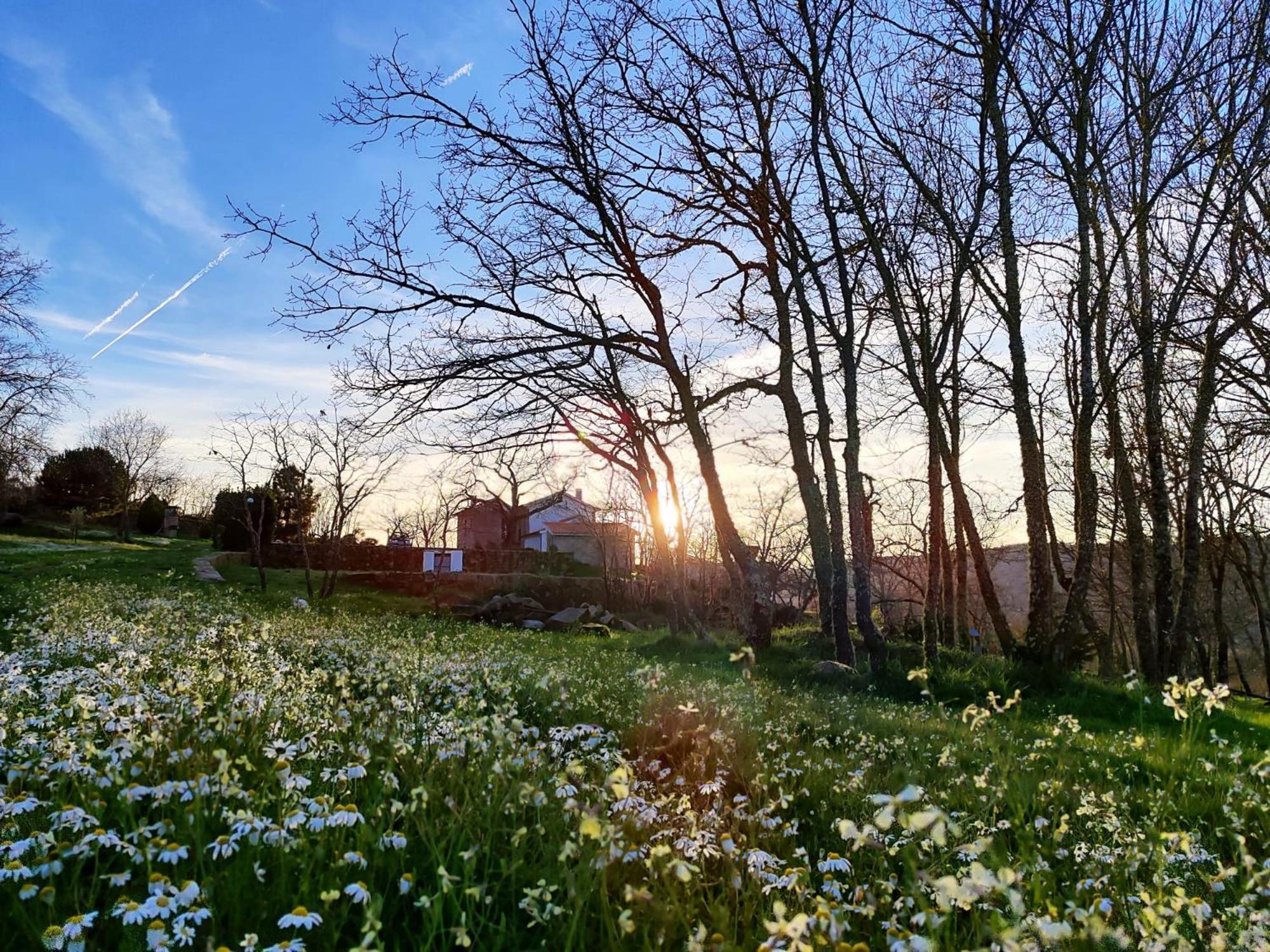 Quinta Dos Carvalhais - Serra Da Estrela ฟอร์โนส จิ อัลกูดริส ภายนอก รูปภาพ