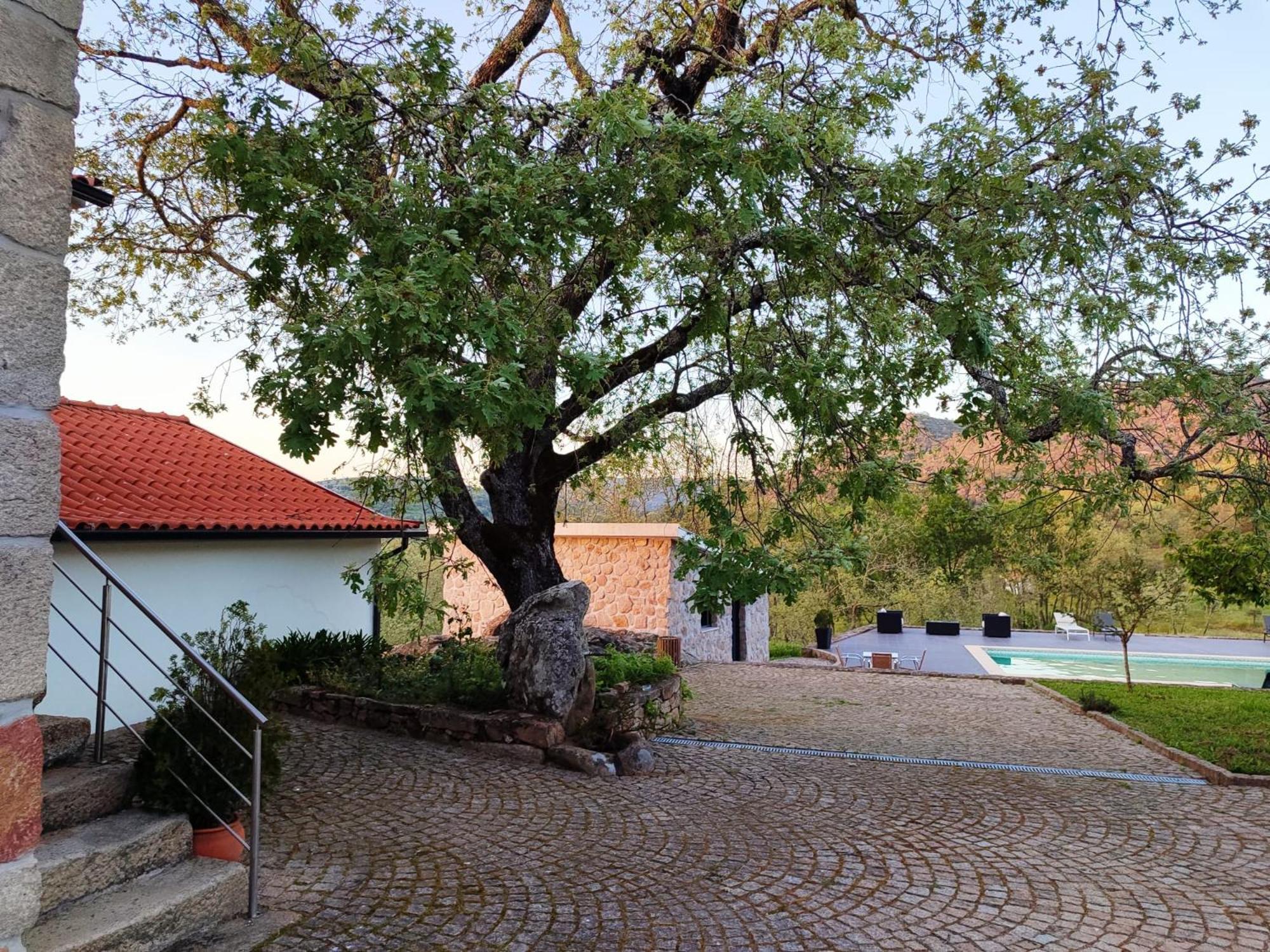 Quinta Dos Carvalhais - Serra Da Estrela ฟอร์โนส จิ อัลกูดริส ภายนอก รูปภาพ